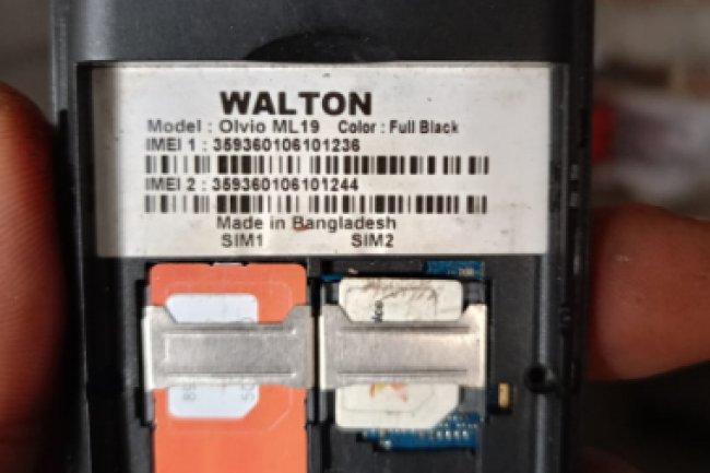 WALTON ML19 flash file
